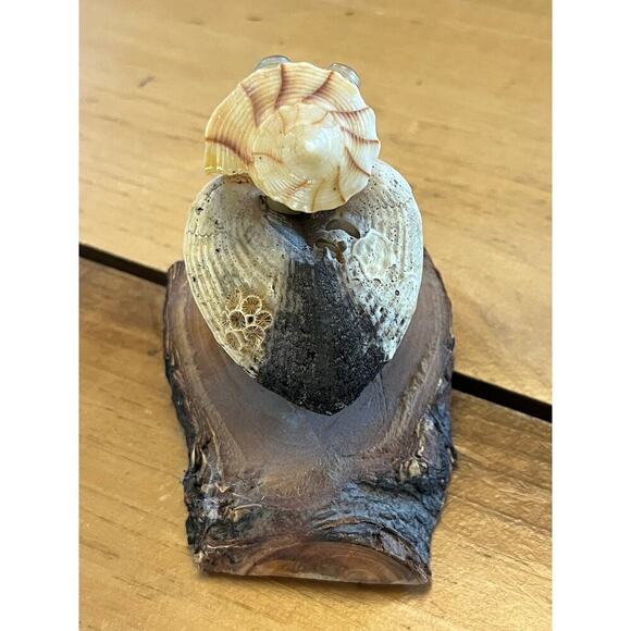 Vintage Novelty Knick-Knack. Bird made out of sea shells on wood. Beach Nautical - Picture 4 of 9